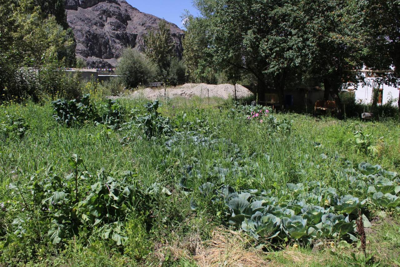 Sernang Homestay Hundar Екстериор снимка