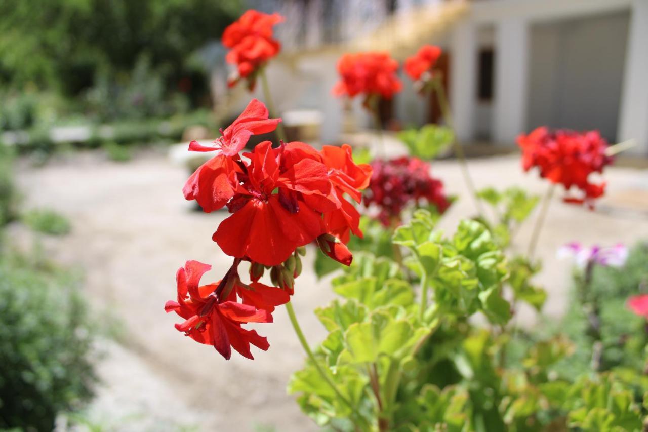 Sernang Homestay Hundar Екстериор снимка