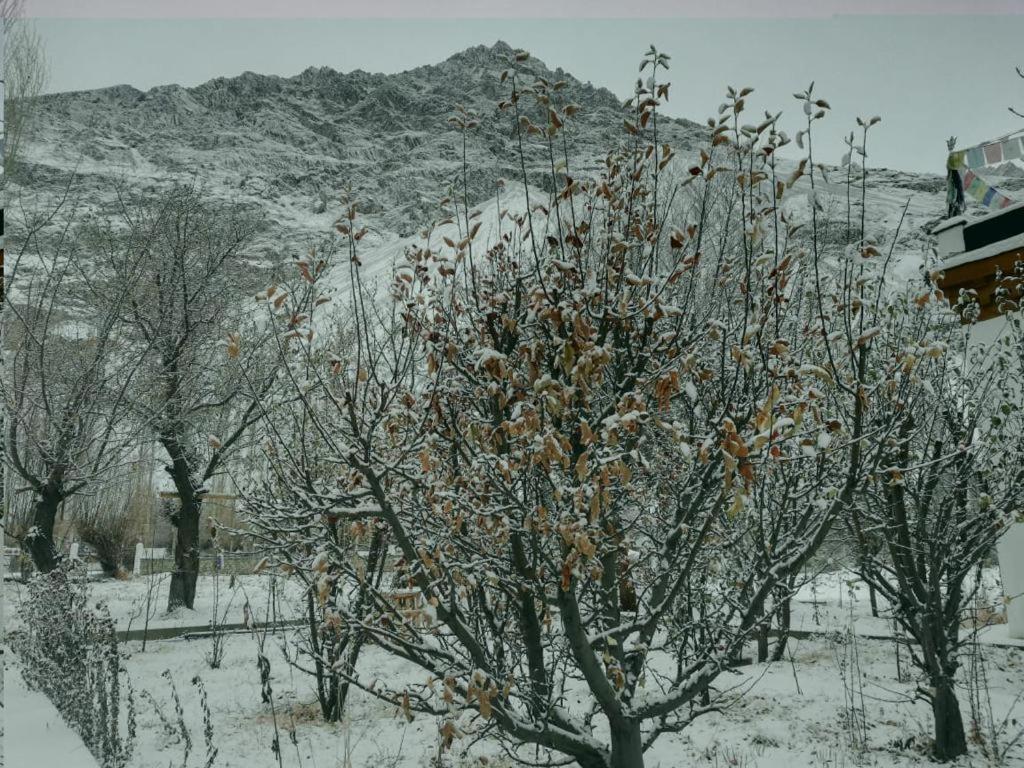 Sernang Homestay Hundar Екстериор снимка