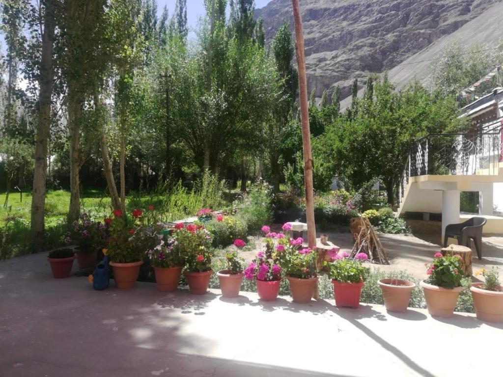 Sernang Homestay Hundar Екстериор снимка